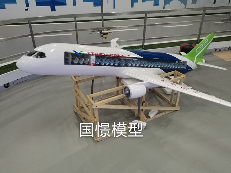 灵山县飞机模型