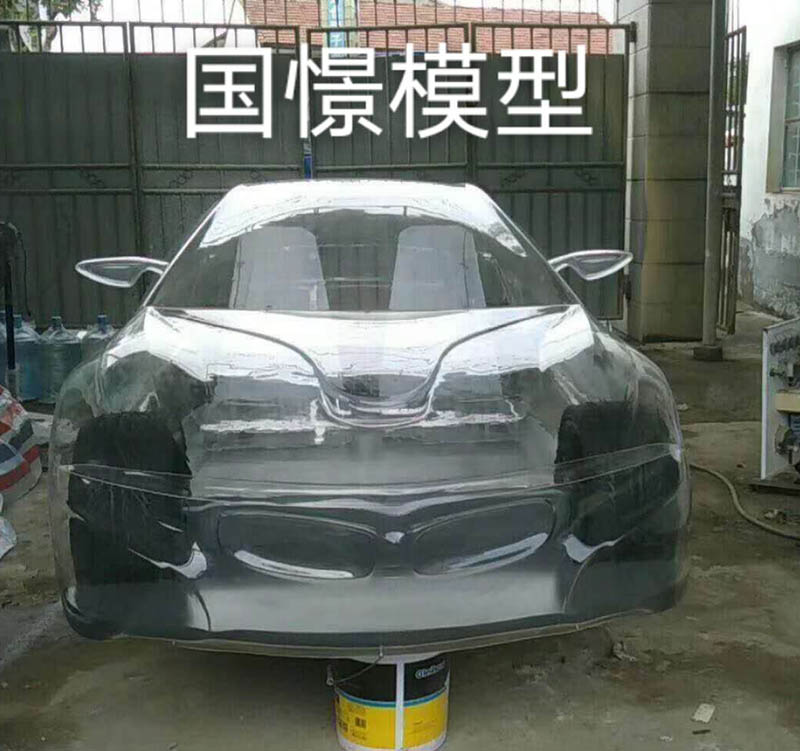 灵山县透明车模型